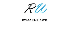 مؤسسة شور الجنوب التجارية
